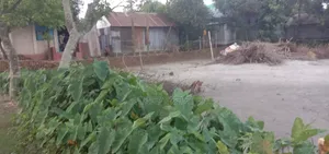 বাড়ি করার জমি