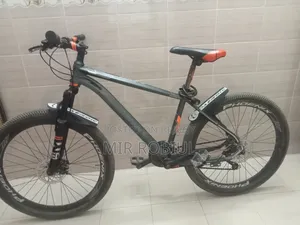 Cycle Phoenix Donald