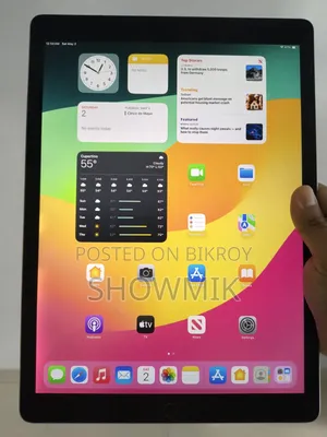 Apple iPad Pro 256 GB Gray