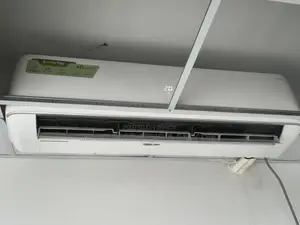 ইকো+ ২ টন ইনভার্টার এসি