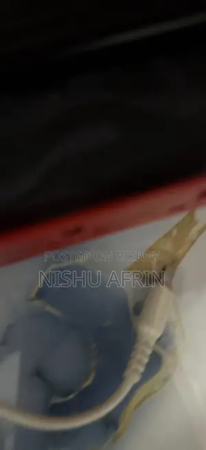 অ্যাপল আইফোন ১৬ প্রো ম্যাক্স ২৫৬ জিবি রোজ গোল্ড