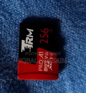 256 GB microSD Memory Card