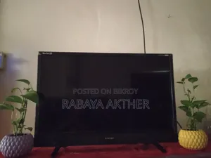 Singer LED TV