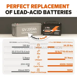 12 v 100 Ah Lithium Phosphate Ev a Grade Battery
