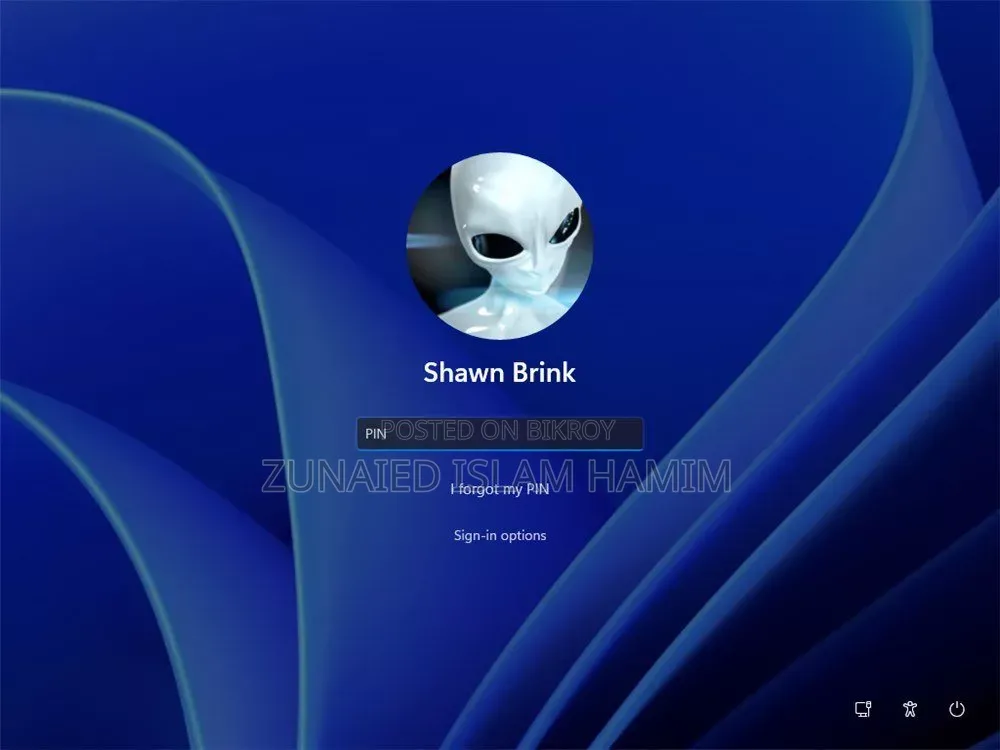 Windows 11 Lost Password Recovary(Contect For Best Price)