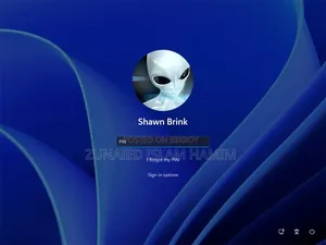 Windows 11 Lost Password Recovary(Contect For Best Price)