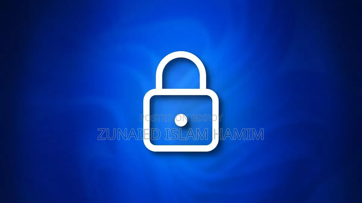 Windows 11 Lost Password Recovary(Contect For Best Price)