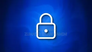Windows 11 Lost Password Recovary(Contect For Best Price)