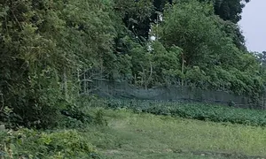 ২ শতক জমি বিক্রয় হইবে