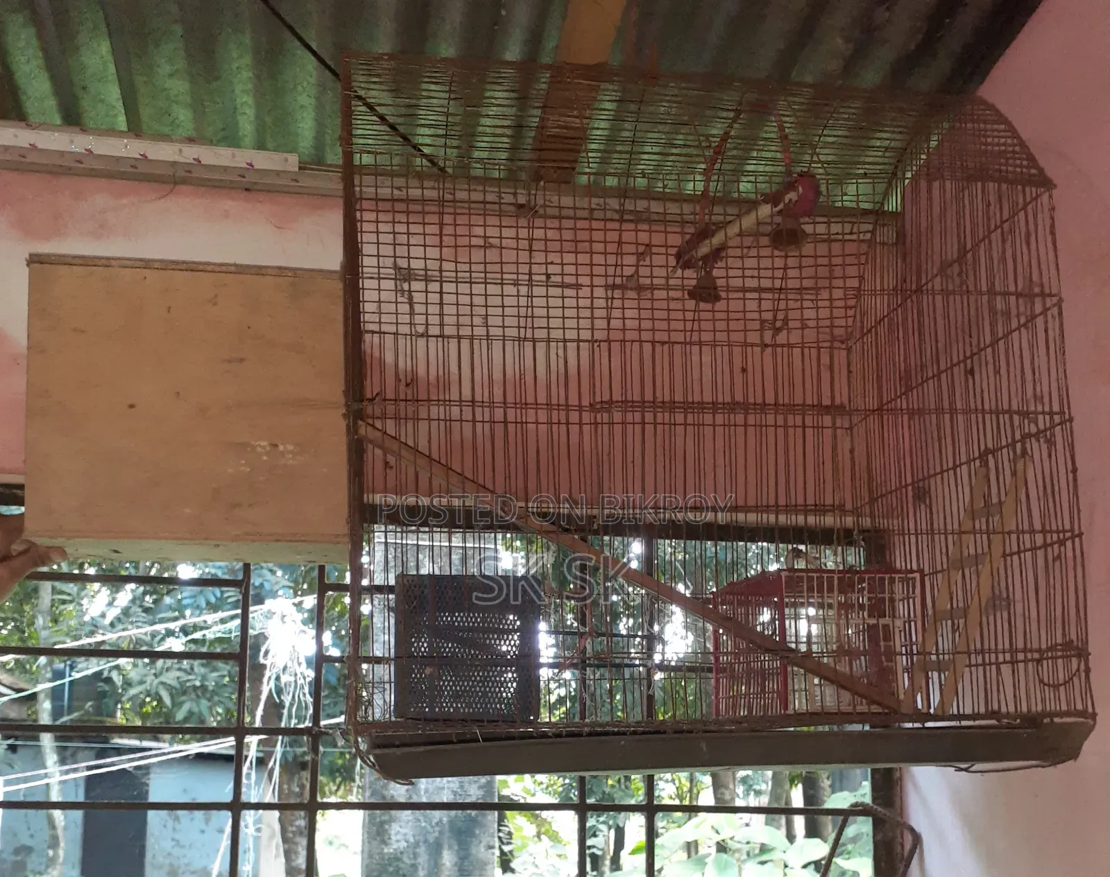 বড় সাইজের খাচা