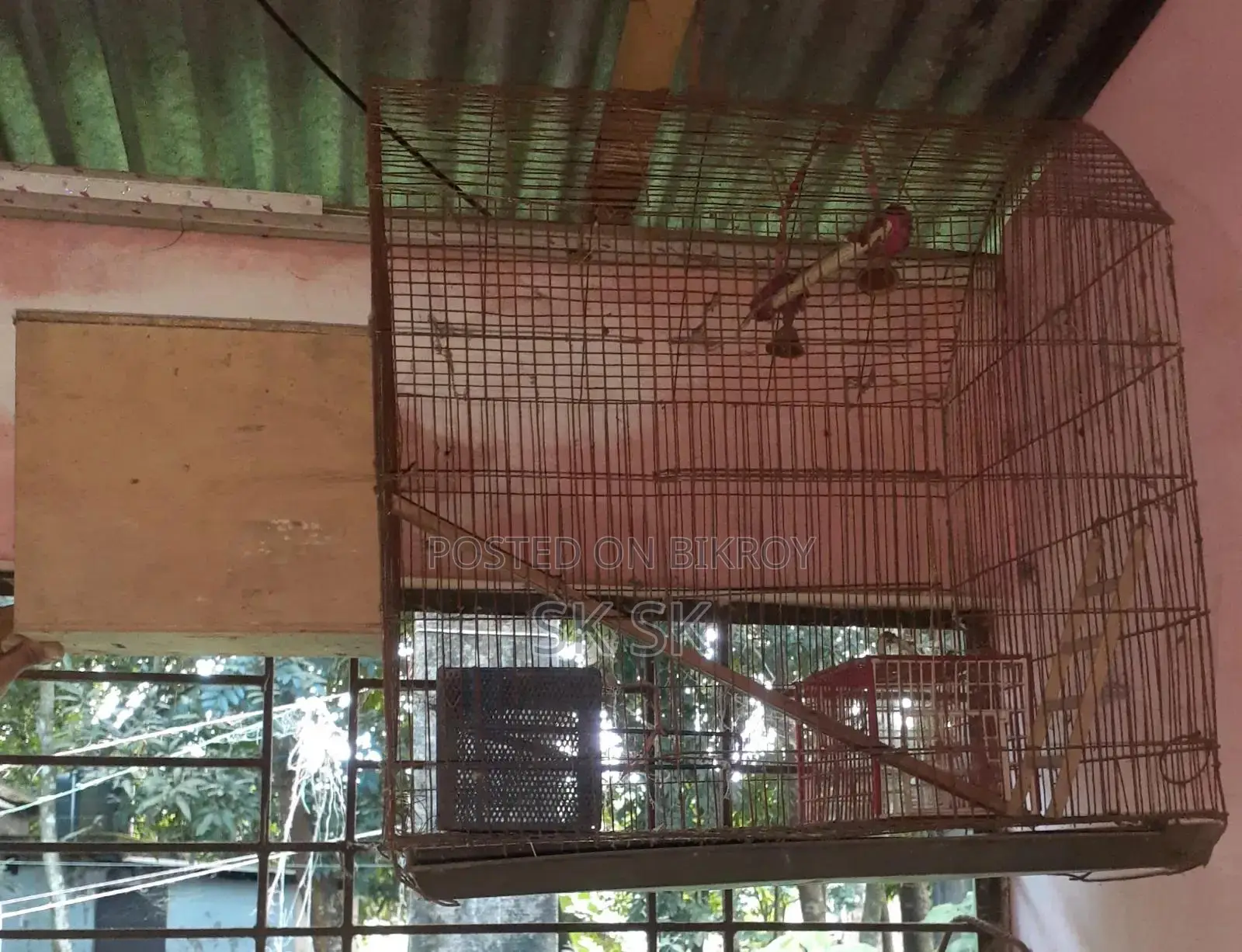 বড় সাইজের খাচা