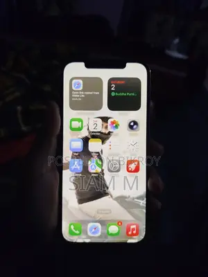 Apple iPhone 12 Pro Max 128 GB Rose Gold