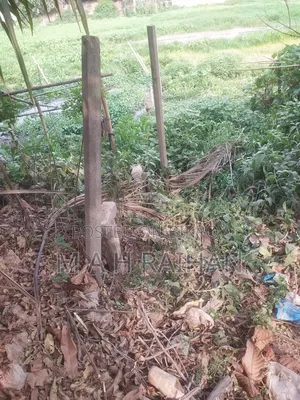 8 Bigha Land for Sale