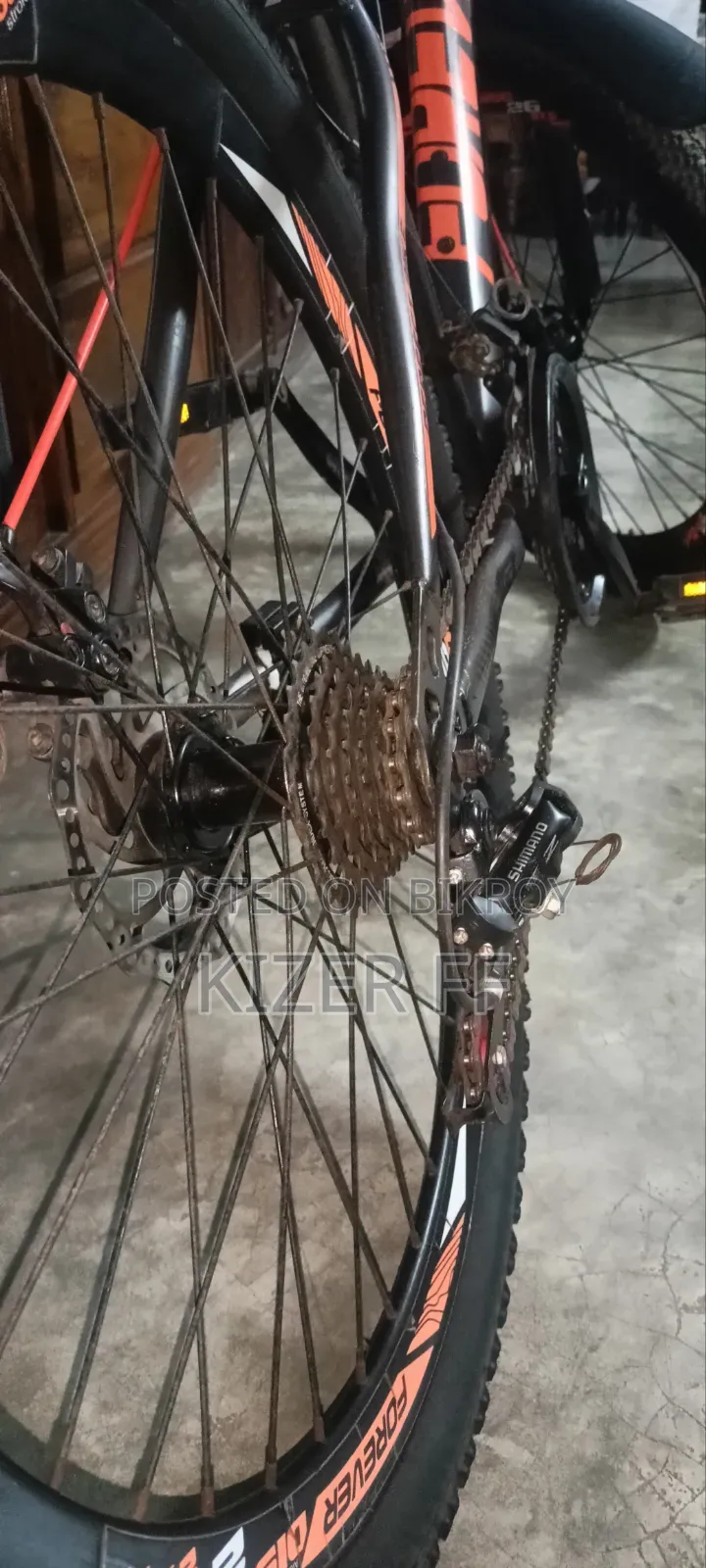 Forever Cycle