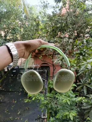 P9 Headphones 