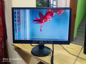 Philips 16" Led Monitor (Display Line Problem)
