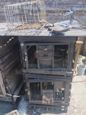 কেরোসিন কাঠ এর খাচা