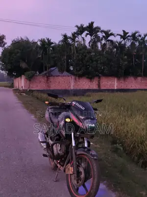 Bajaj Pulsar 150 2014 Black