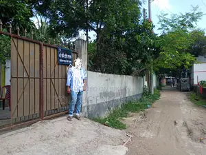 Land With Tin Shed House