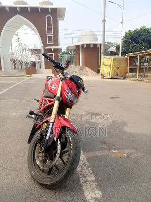Runner Bolt 165R 2021 Red