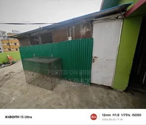 পাখির বড় ঘর