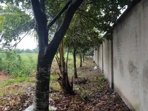 ৭ বিঘা জমি ভাড়া