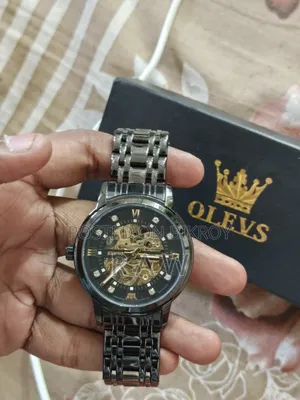 Orginal Qlevs Luxury Automatic Skeleton Watch