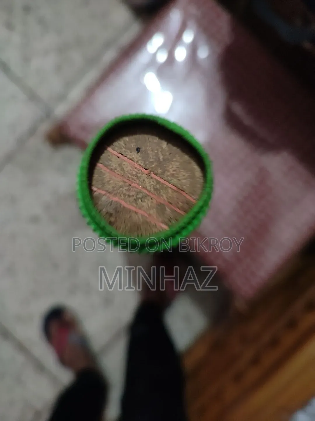 এসএস সানড্রিজেস কাশ্মীর উইলো, ভালো কন্ডিশন, ব্যাগ ফ্রি