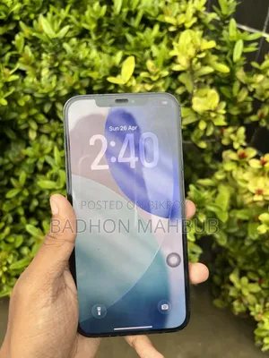 Apple iPhone 12 Pro Max 256 GB Blue