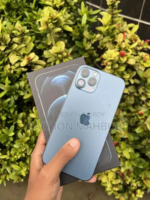 Apple iPhone 12 Pro Max 256 GB Blue