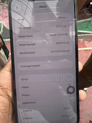 Apple iPhone 12 Pro Max 256 GB Blue