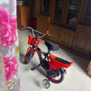 Phonex Cycle