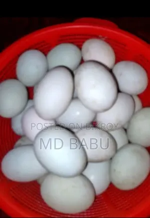 সিল্কি মুরগির বিজ ডিম