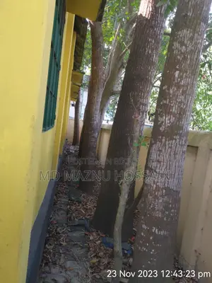Furnished 3bdrm House in এলেঙ্গা টাংগাইল, Tangail Sadar for Sale