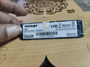 Patriot P300 256gb Nvme SSD- Health Performance 100%