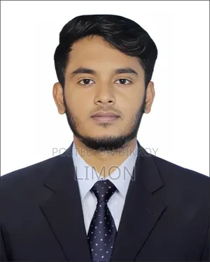 Diploma Engineer (Electrical)