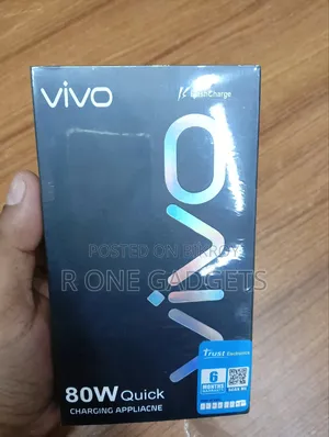 Vivo 80w Original Charger