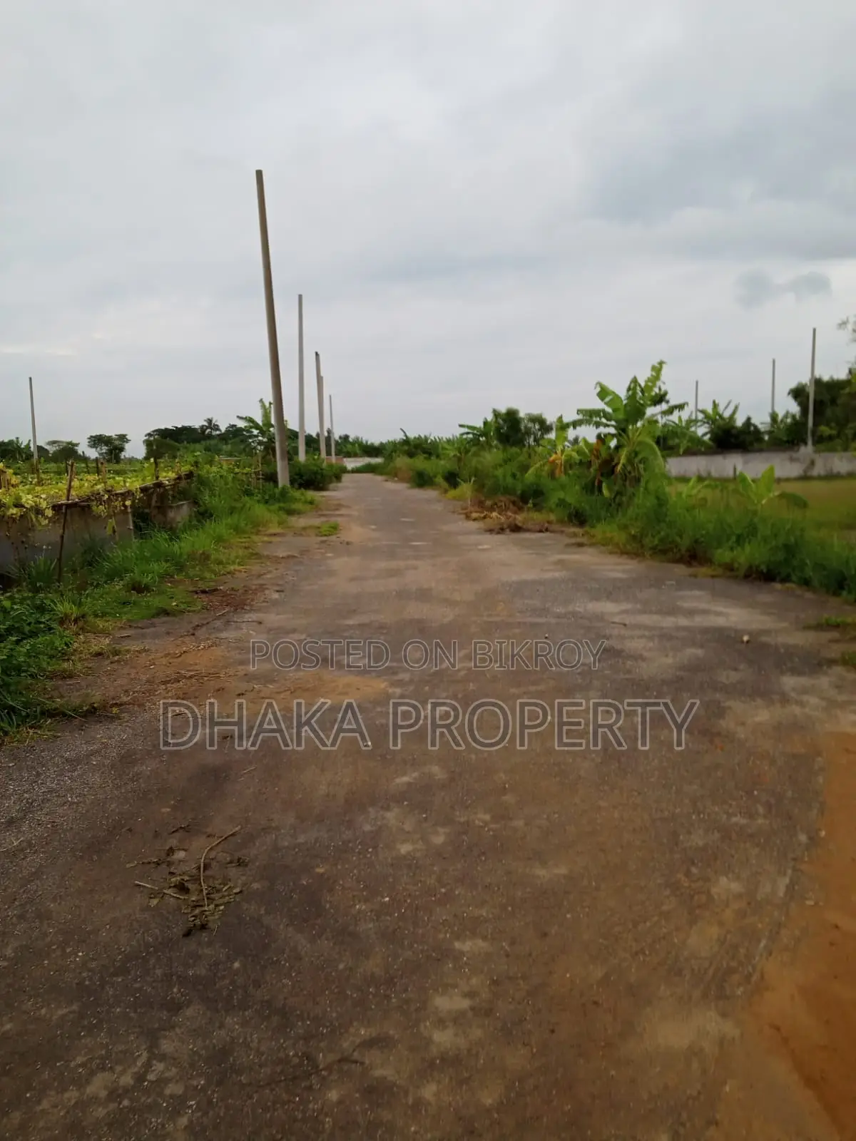 30ft Rd 9 Katha Park South at Sector-17/E