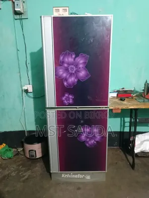 এই ফ্রিজটি বিক্রি করা হবে