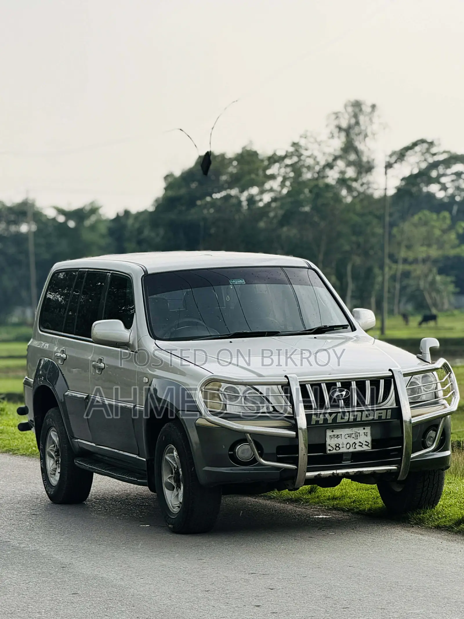 Hyundai Terracan 2.5 2002 White
