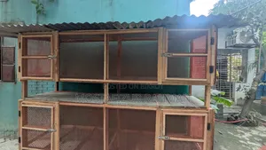 খাচা সেল করা হবে