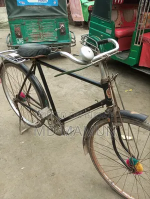 ফিনিক্স সাইকেল