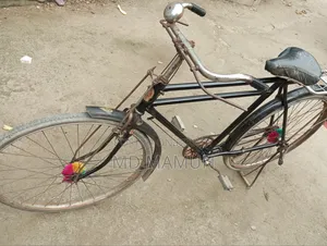 ফিনিক্স সাইকেল