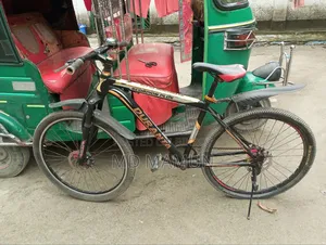 Duranta Cycle