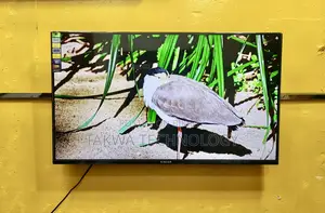 Singer-43"Inche Smart Android Frameless Voice Control Korean Tv
