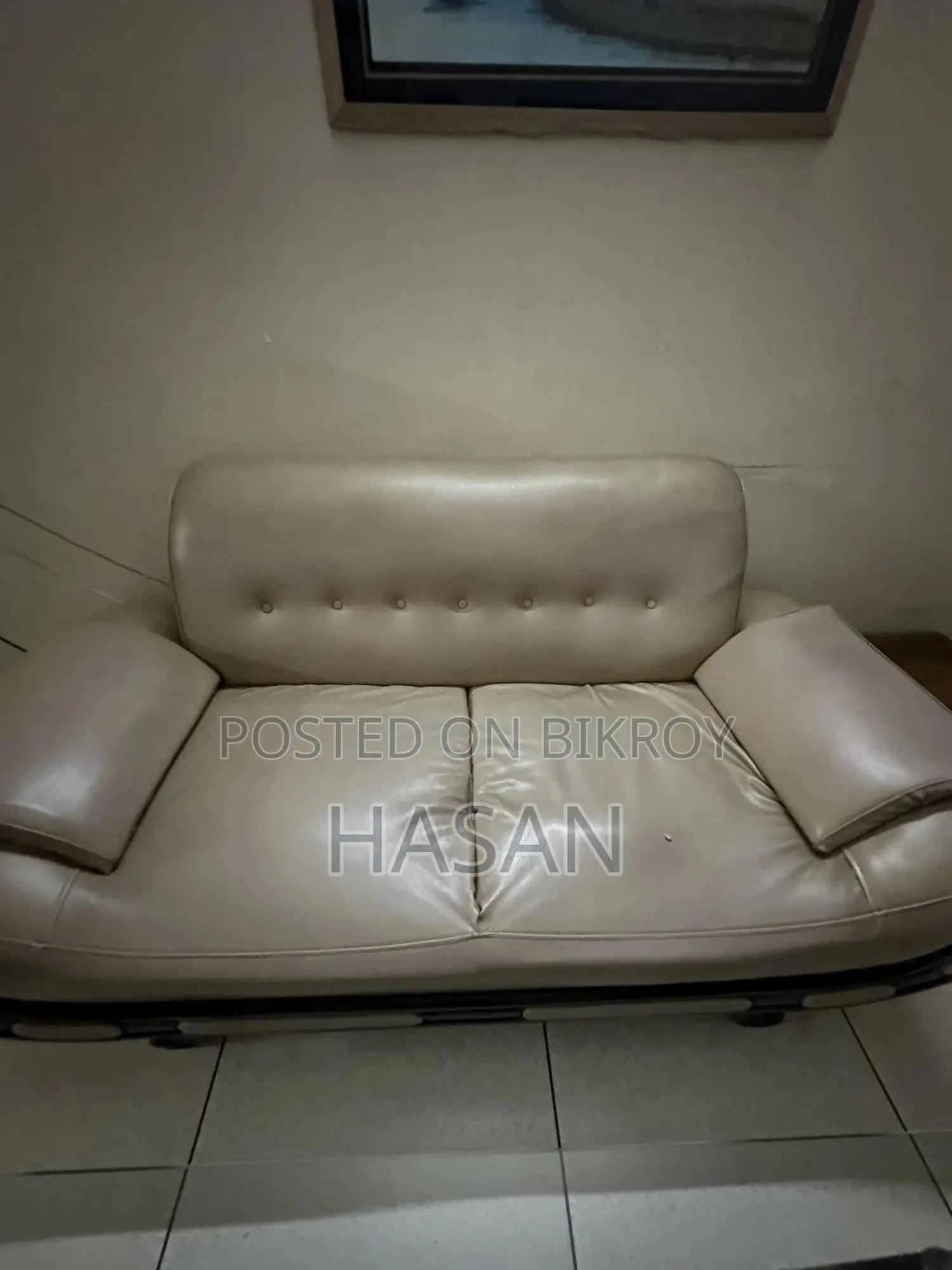 Sofa 4 Pic