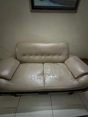 Sofa 4 Pic