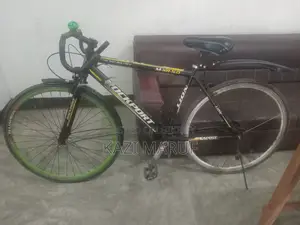 Rassing Cycle