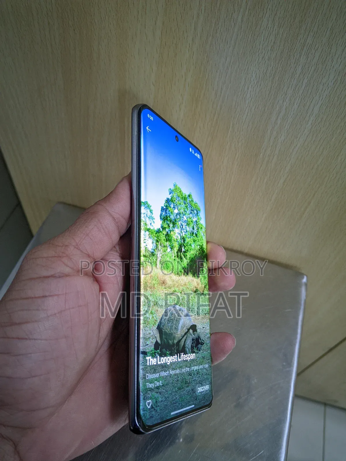 Oppo Reno 10 5G 256 GB