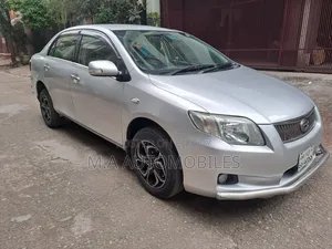 Toyota Axio 2010 Silver